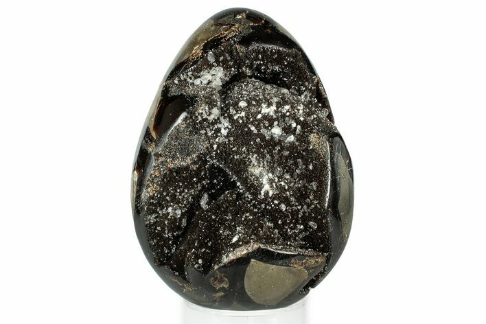 Septarian Dragon Egg Geode - Sparkly Black Crystals #329500